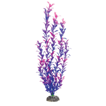 Растение - Людвигия фиолетовая (10см)