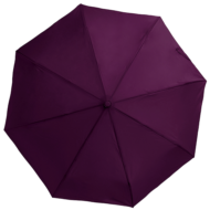 Зонт Автоматический Складной Цвет N 8113 - 0