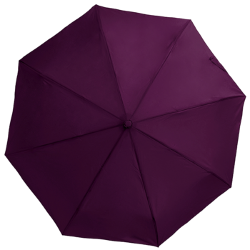 Зонт Автоматический Складной Цвет N 8113