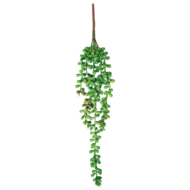 Растение "Крестовник ампельный", зеленое, 80*20*700мм, Laguna - 0