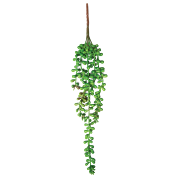 Растение "Крестовник ампельный", зеленое, 80*20*700мм, Laguna