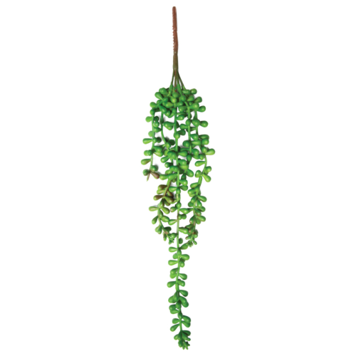 Растение "Крестовник ампельный", зеленый, 80*20*370мм, Laguna - 0
