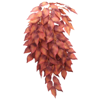 Растение "Сингониум ампельный", красный, 370мм, Laguna