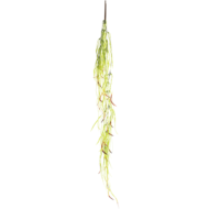 Растение "Фикус иволистный", желто-зеленый, 60*10*520мм, Laguna - 0