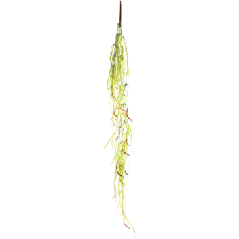 Растение "Фикус иволистный", желто-зеленый, 60*10*520мм, Laguna