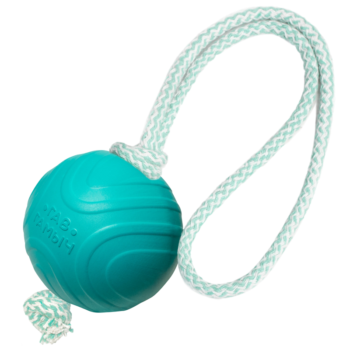 Игрушка для собак "Мячик с веревкой", 75мм, серия ГАВ ГАМЫЧ, Gamma
