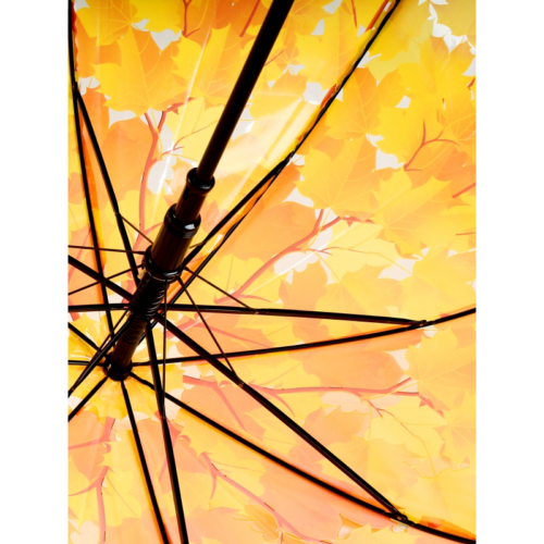 Зонт Листья желтые - 5