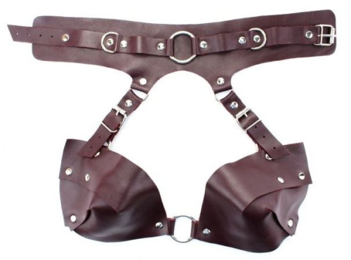 Бордовая сбруя из ошейника с лифом Maroon Harness - 0