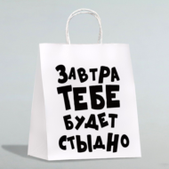 Подарочный пакет Завтра тебе будет стыдно - 30 х 24 см. - 0