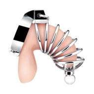 Серебристая клетка для члена Urethral Play Cage - 2