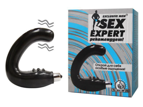 Чёрный массажёр простаты серии Sex Expert - 1