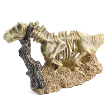 Грот Скелет динозавра - 25,5см х 10см х 16,5см