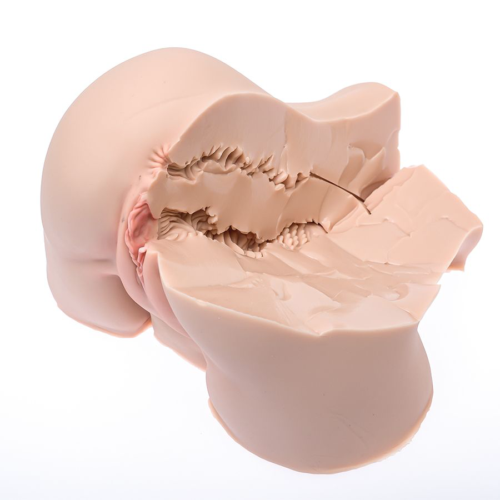 Мастурбатор-полуторс Naked Factory Nicole - 2