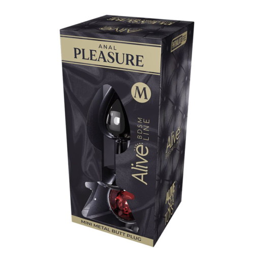 Серебристая анальная втулка Mini Metal Butt Plug Size M с красным кристаллом - 1