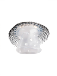 Эластичное эрекционное кольцо с длинными черными «ресничками» - 6