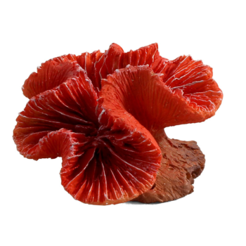 Коралл искусственный - Каталофиллия красная (8см х 7см х 5см)