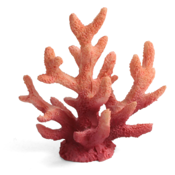 Коралл искусственный - Акропора (6см х 3,5см х 7см)