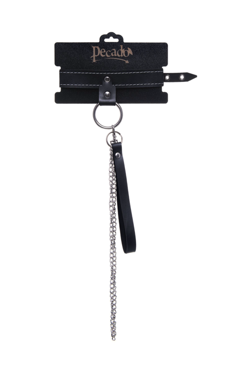 Черный узкий однослойный ошейник с серебристым поводком-цепочкой - 5