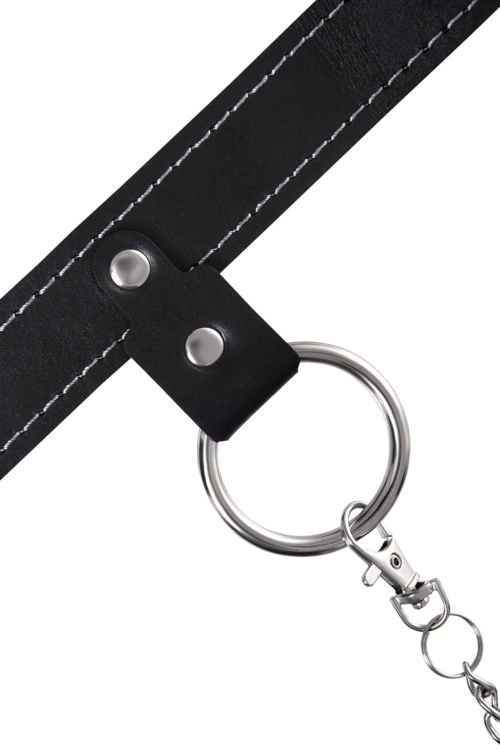 Черный узкий однослойный ошейник с серебристым поводком-цепочкой - 6