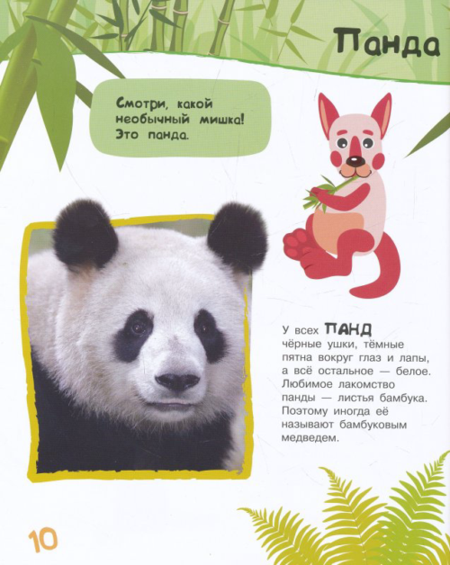 Энциклопедия животных для малышей - 4