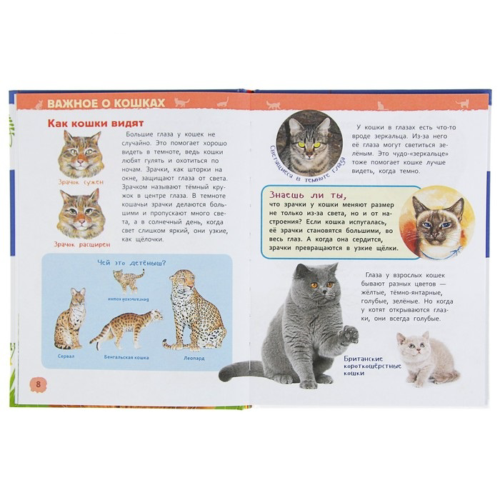 Энциклопедия для детского сада - Кошки и котята - 3