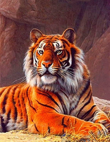 Холст с красками 22х30 см по номерам. "Величественный тигр".