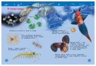 Энциклопедия для детского сада - Подводный мир - 1