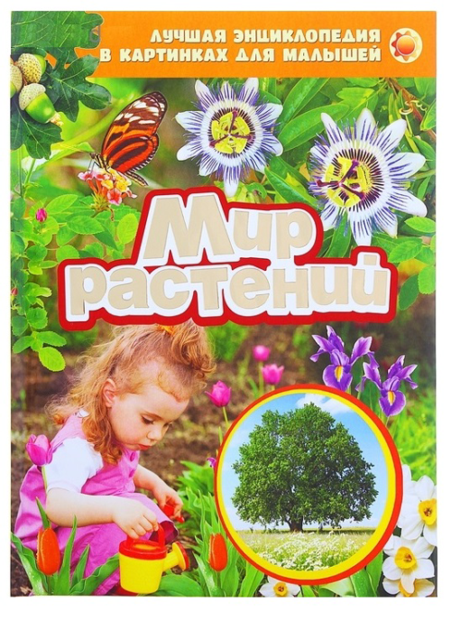 Энциклопедия в картинках для малышей "Мир растений" - 0