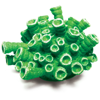 Коралл искусственный - Эусмилия зеленая (9,5см х 9,5см х 5,5см)