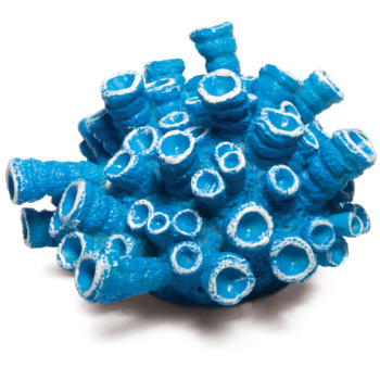 Коралл искусственный - Эусмилия синяя (9,5см х 9,5см х 5,5см)