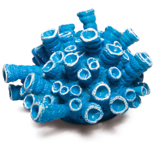 Коралл искусственный - Эусмилия синяя (9,5см х 9,5см х 5,5см) - 0