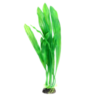 Растение - Сагиттария зеленая (30см) - 0