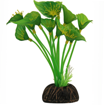 Растение 1304 - Спатифиллум зеленый (10см)