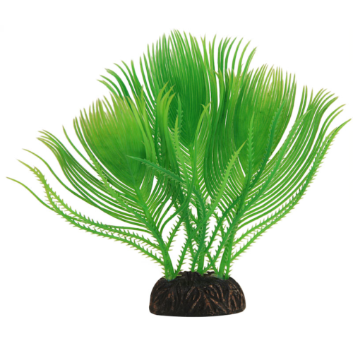 Растение - Эгерия зеленая (15см) - 0