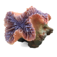 Коралл искусственный - Каталофиллия фиолетовая (8см х 7см х 7см) - 0