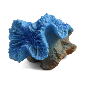 Коралл искусственный - Каталофиллия голубая (8см х 7см х 7см)