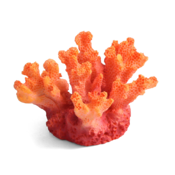 Коралл искусственный - Стилофора (5см х 5см х 4см)
