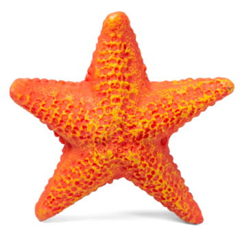 Грот Морская звезда - S (8,5см х 8,5см х 2,3см)