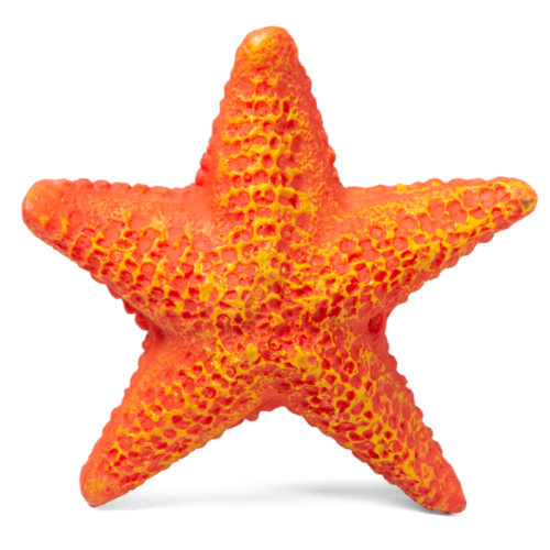Грот Морская звезда - S (8,5см х 8,5см х 2,3см) - 0