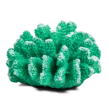 Коралл искусственный зеленый - Поциллопора (12см х 11см х 6,5см)