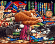 Набор для творчества Белоснежка Картина по номерам на холсте Библиотека кошек 40х50см - 0