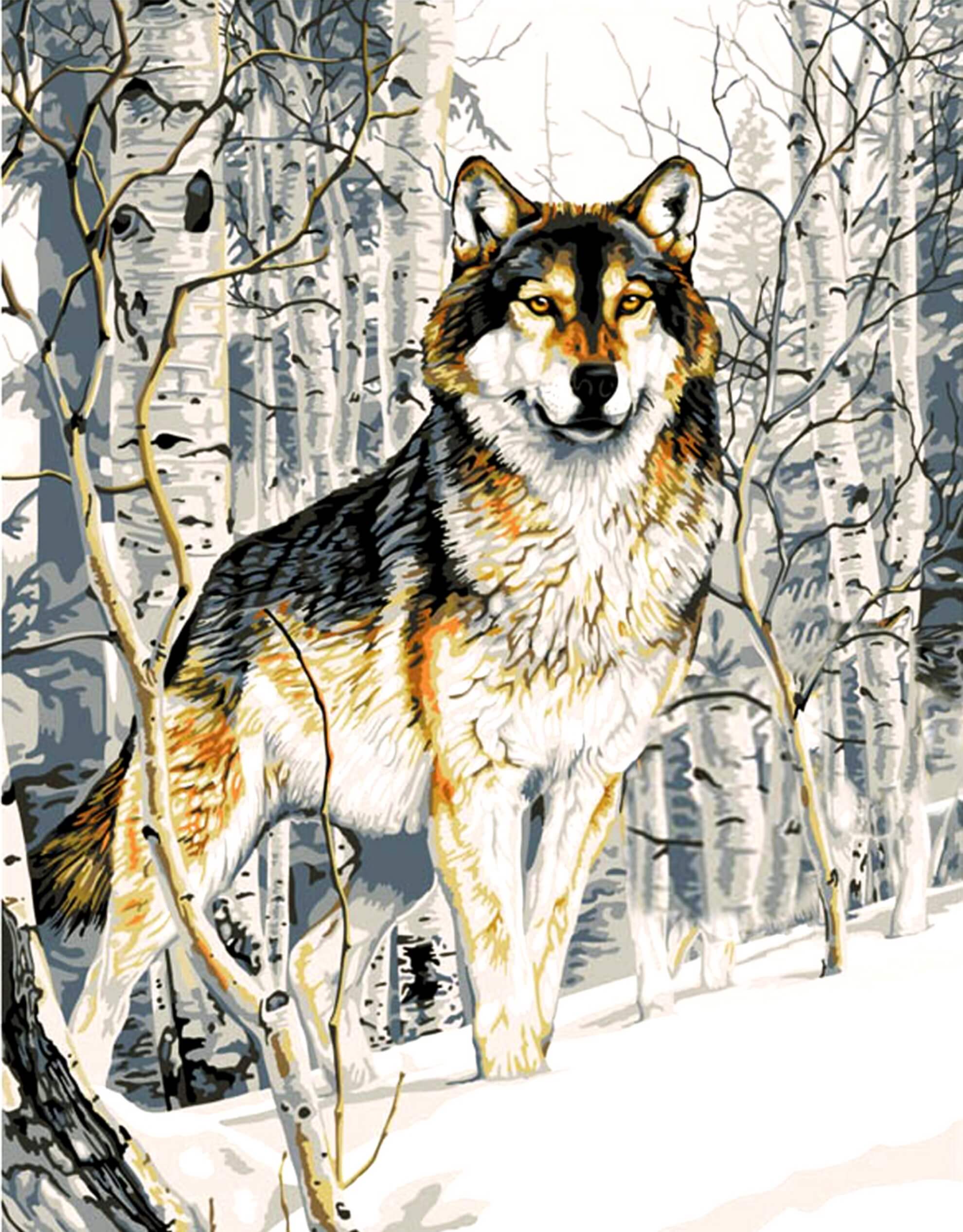 Цветные картинки волка. Картина волки. Волк живопись. Волк рисунок. Волк в лесу.